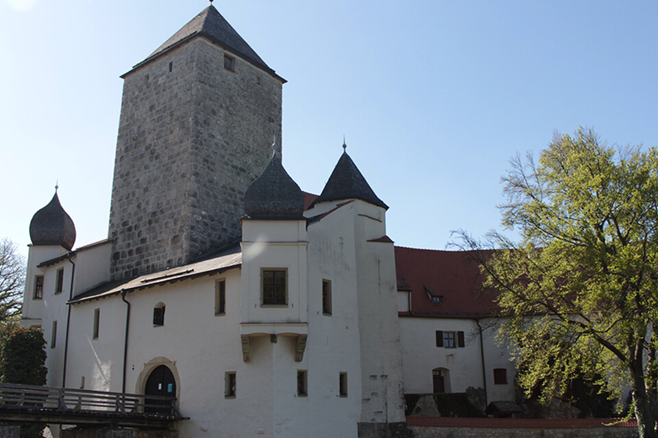 Wandern rund um die Burg Prunn: Von Burgen, Ruinen und der Klamm  - 7