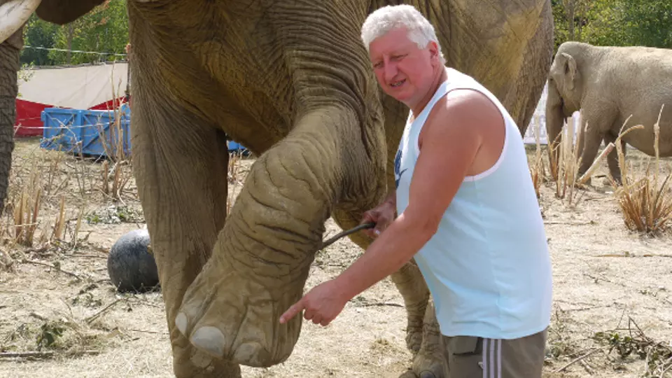 Circus Afrika – Kontroversen ohne Ende?