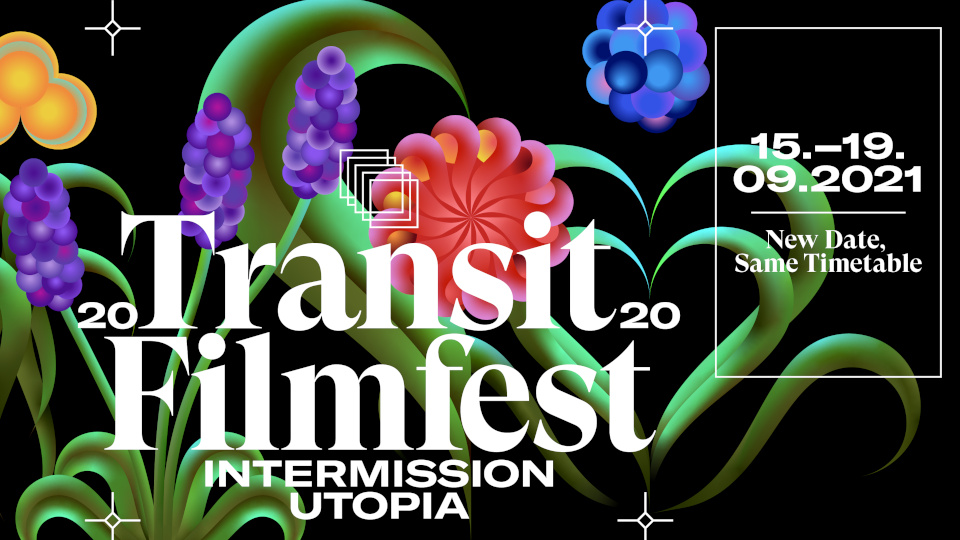 Banner des Transit Filmfests