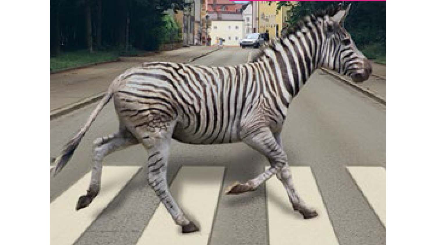 Queerstreifen Festival