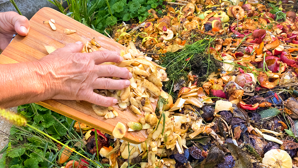 Bioabfall wird in einen Kompostbehälter gefüllt