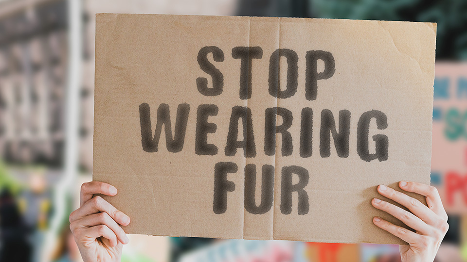 Hochgehaltenes Schild mit dem Schriftzug: Stop Wearing Fur