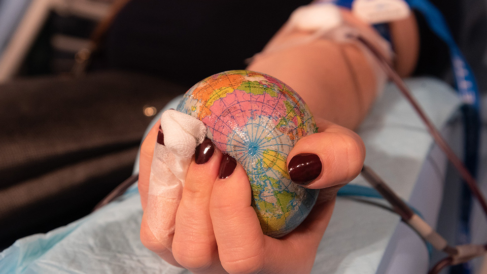Frauenhand mit einem Stressball in Form einer Weltkugel beim Blutspenden.