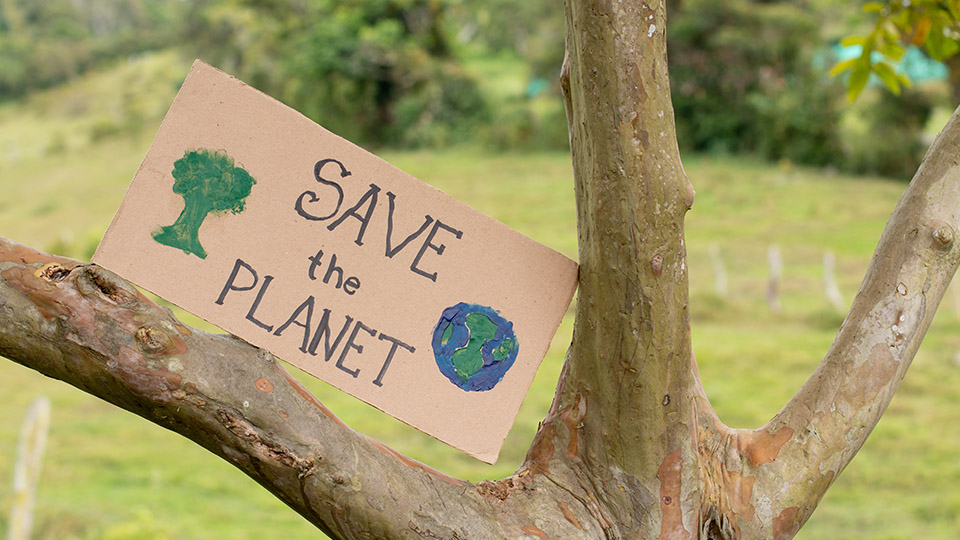 Ein Schild, das zwischen die Äste eines Baums gesteckt ist und auf dem steht: "SAVE the PLANET"