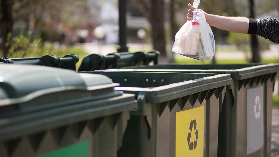 Eine Hand, die gerade einen Müllbeutel in eine von drei unterschiedlich gekennzeichneten großen Mülltonnen wirft.