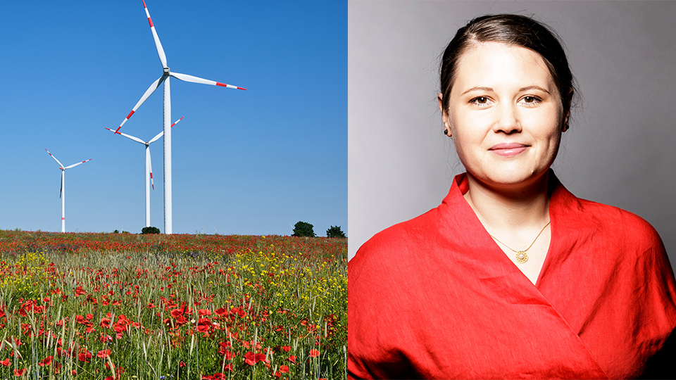 Auf der linken Seite: mehrere Windräder hinter einer Wiese mit roten Mohnblumen. Auf der rechten Seite: die Regensburger Bundestagsabgeordnete Dr. Carolin Wagner (SPD).