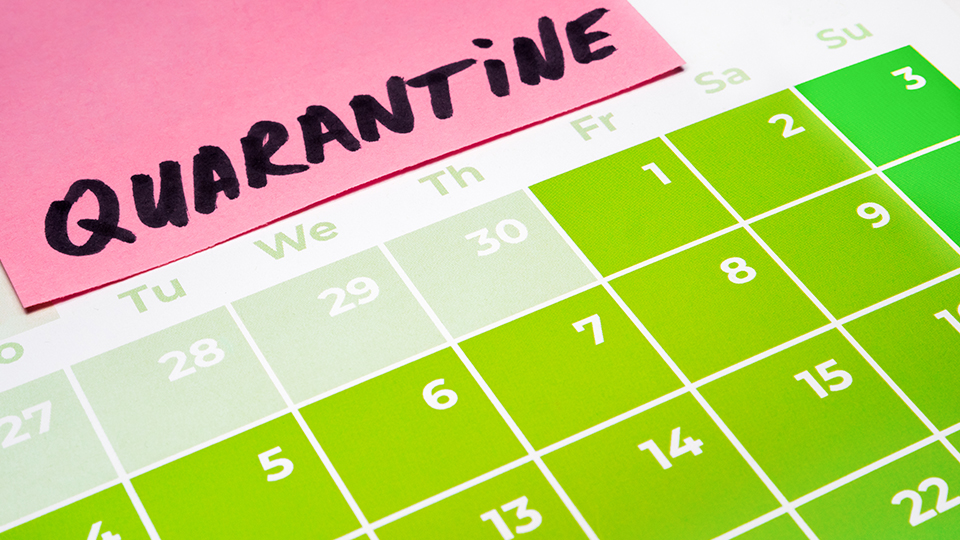 Ein Kalender in Grün-Grau und darüber ein pinker Post-It mit der Aufschrift: "QUARANTINE".