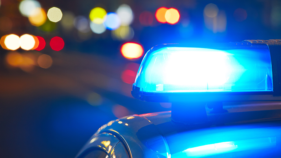 Streifenwagen von hinten mit Blaulicht in der Nacht.