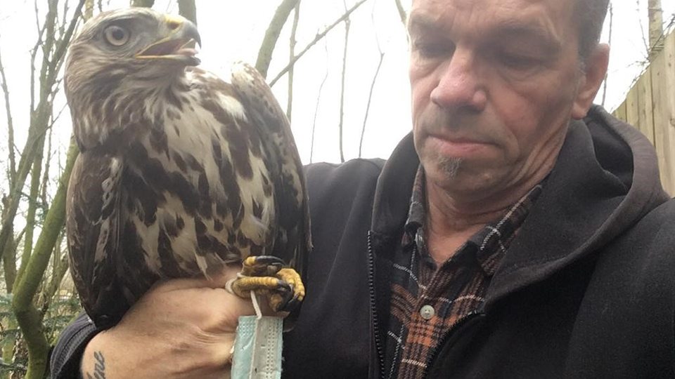 Christian Erdmann vom Wildtier- und Artenschutzzentrum Hamburg-Schleswig-Holstein mit einem Mäusebussard, der sich in einer Maske verfangen hat.