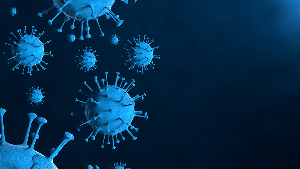 Coronaviren in türkis dargestellt vor einem dunkelblauen Hintergrund.