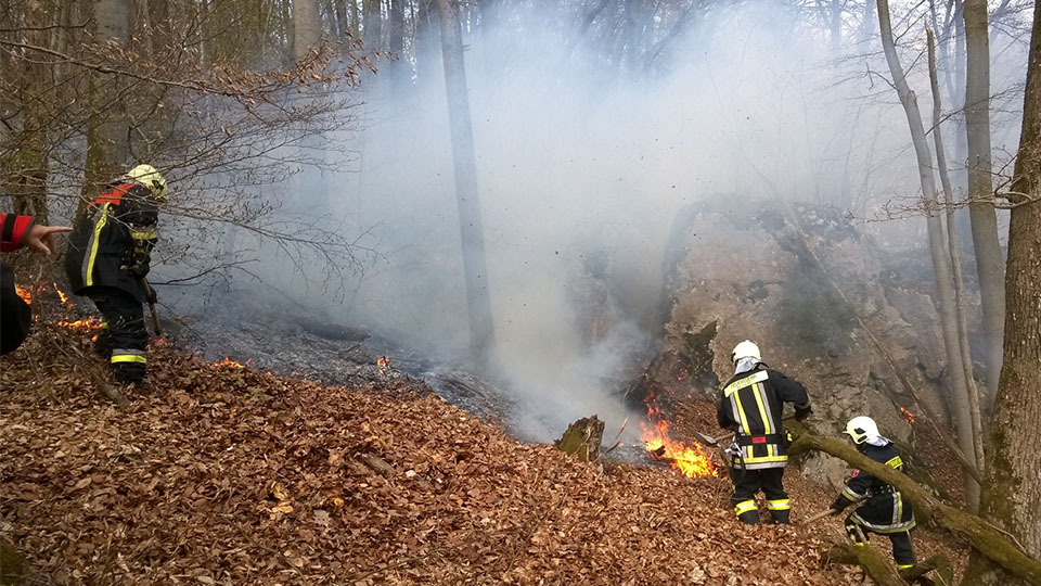 Waldbrandgefahr: Feuerwehrmänner, die in einem Waldstück gerade einen Brand löschen.
