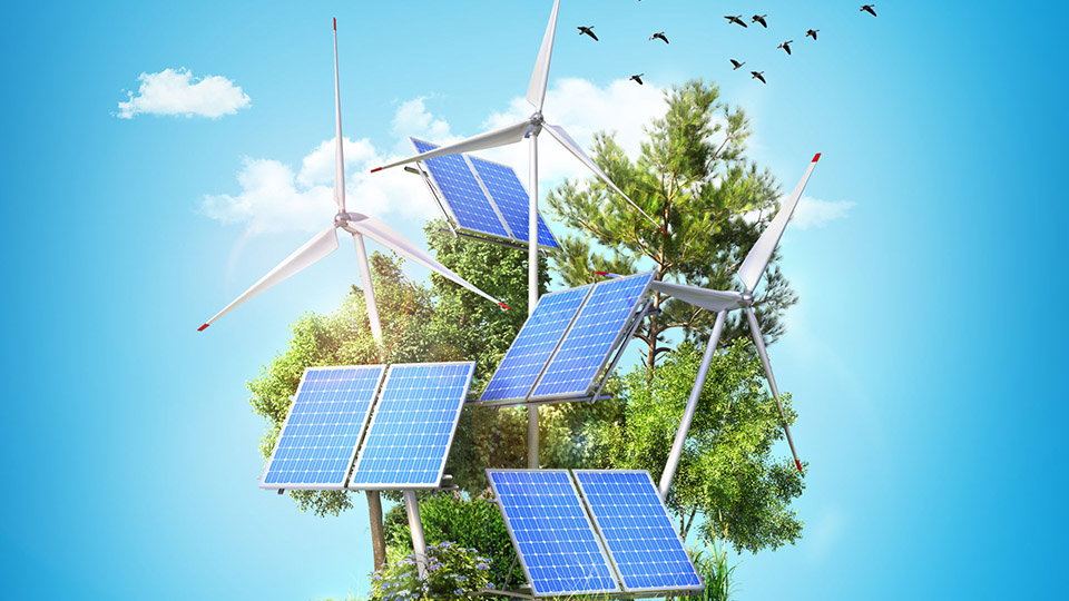 Unabhängig von Stromimporten: Bäume mit Photovoltaik-Anlagen und Windrädern