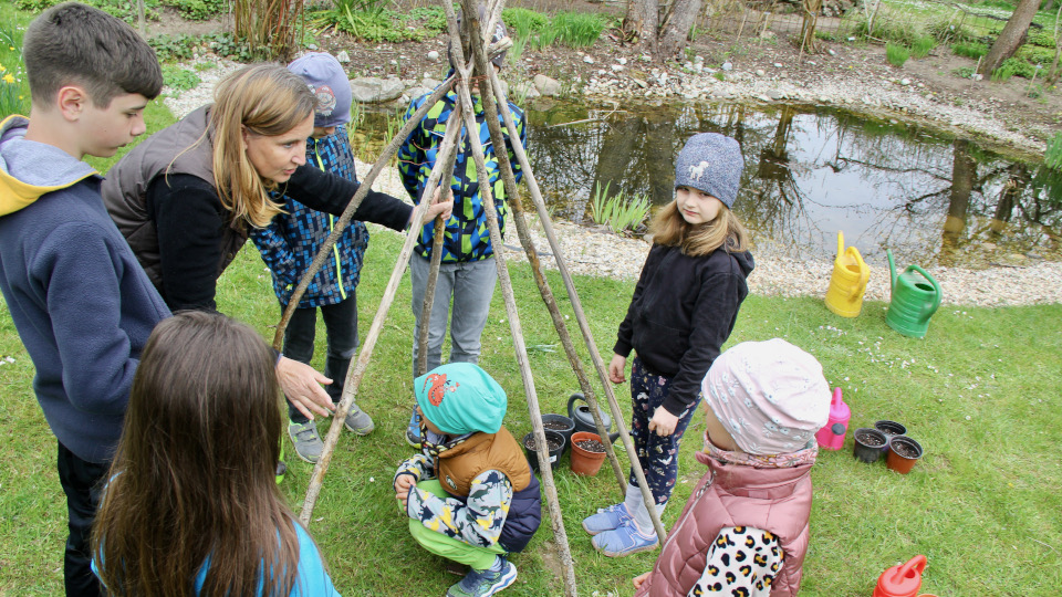 Das Gerüst des Bohnentipis: Hieran können sich die Bohnen entlang ranken.