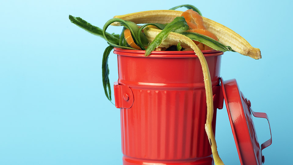 Symbolbild für eine Bio-Tonne: Rote Mini-Biotonne mit Bioabfällen darin.