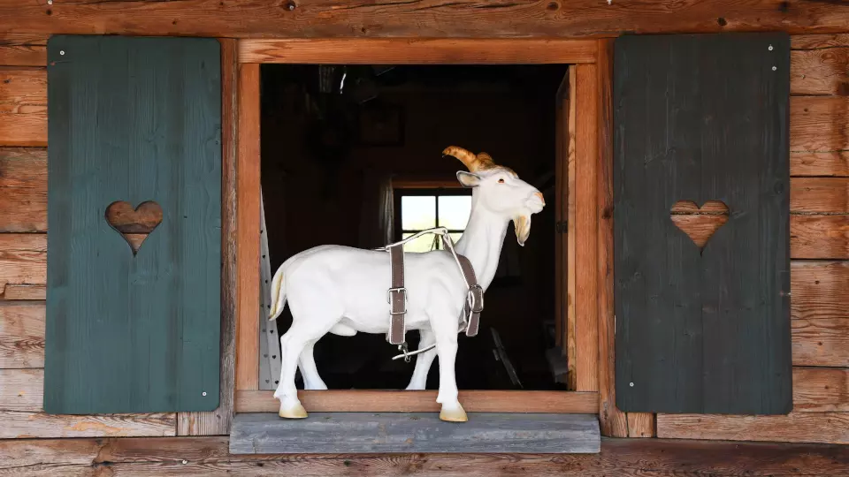 erfolgreiche maidult macht vorfreude auf die herbstdult 960x540 4