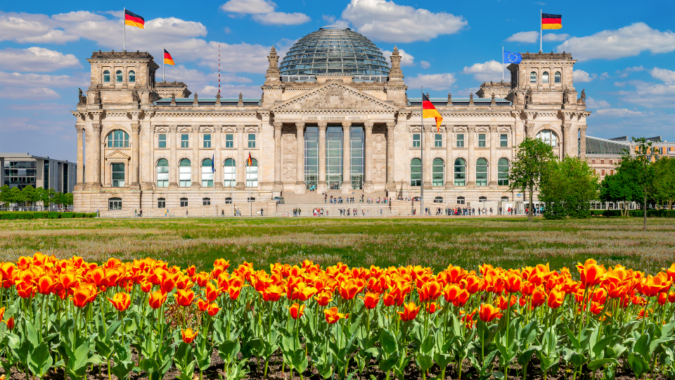 Berliner Reichstag vor Blumenwiese