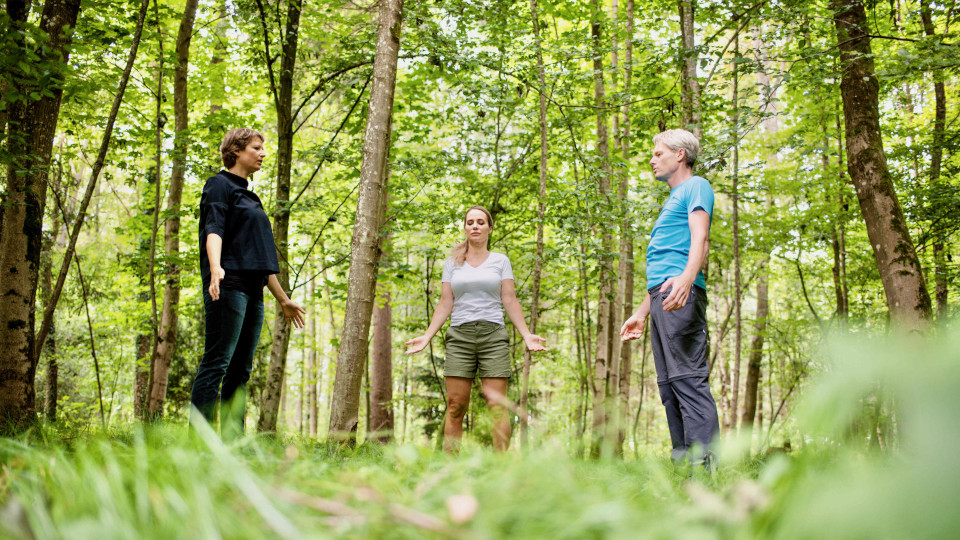 Drei Menschen bei der Waldmeditation