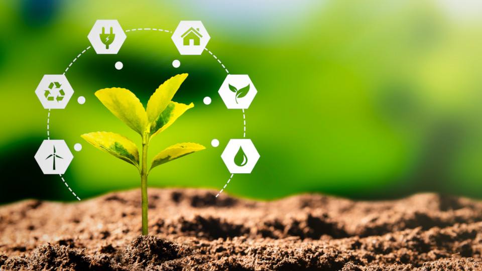 Nachhaltigkeit: Eine junge Pflanze, die in die Erde gebaut ist, um sie rum Symbole die etwa für Recycling oder erneuerbare Energien stehen.
