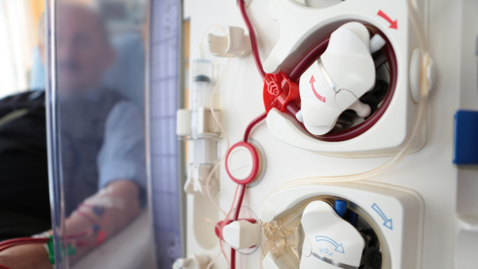 Dialyse Die viel zu geringe Chance auf eine Nierentransplantation