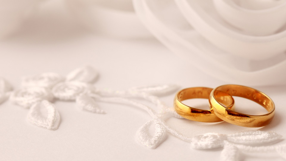 Zwei goldene Eheringe auf weißem Untergrund mit Federn und einer Rose im Hintergrund.