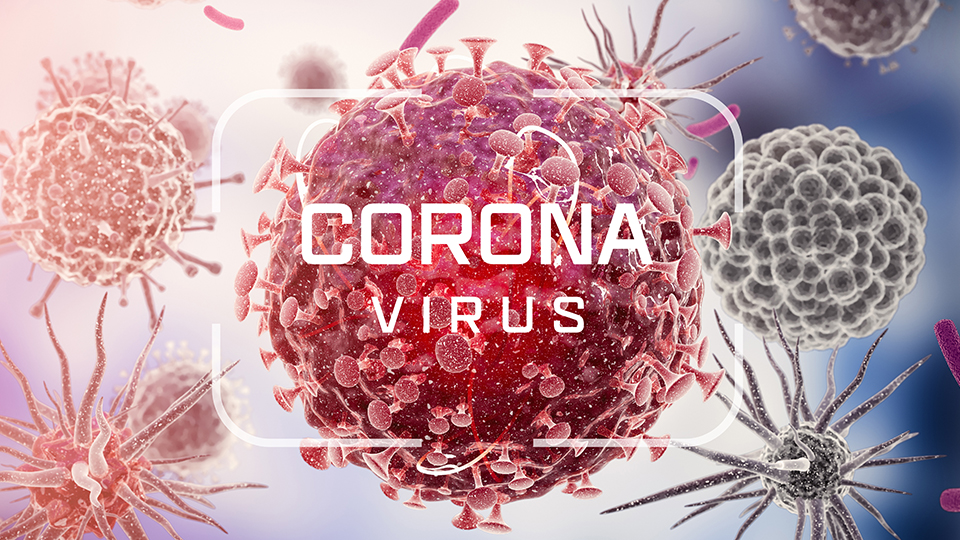 Abbildung des Corona-Virus mit dem Schriftzug "CORONA VIRUS".