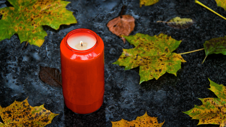 Vermisste 73-jährige aus Landkreis Schwandorf tot aufgefunden