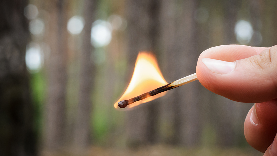 Mann hält Streichholz im Wald