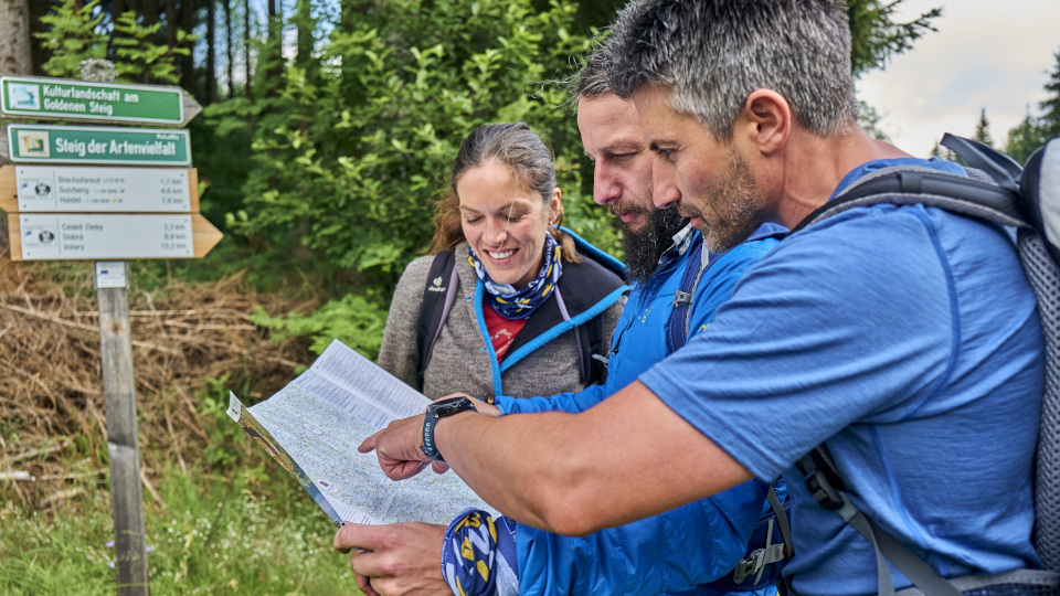 Nationalpark Bayerischer Wald – 25.000 Hektar Ursprünglichkeit