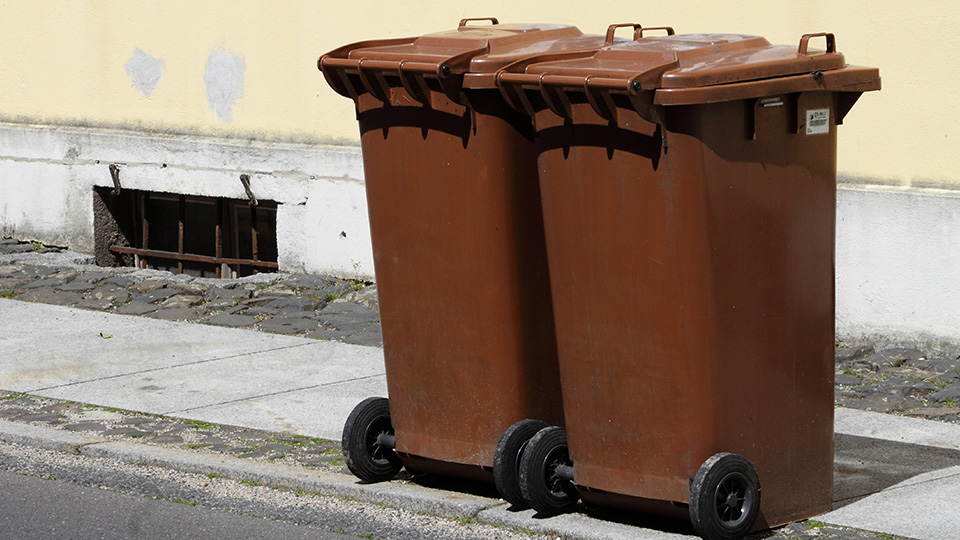 Zwei braune Biotonnen, die am Straßenrand stehen.
