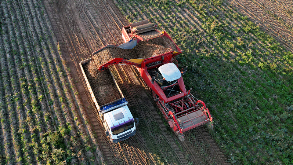  Oberschneiding: Mann in Kartoffelerntemaschine gezogen