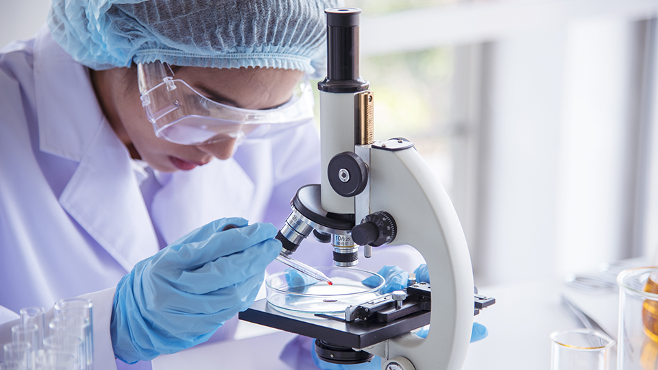 Alternativen zu Tierversuchen: Frau im Labor blickt durch Mikroskop.