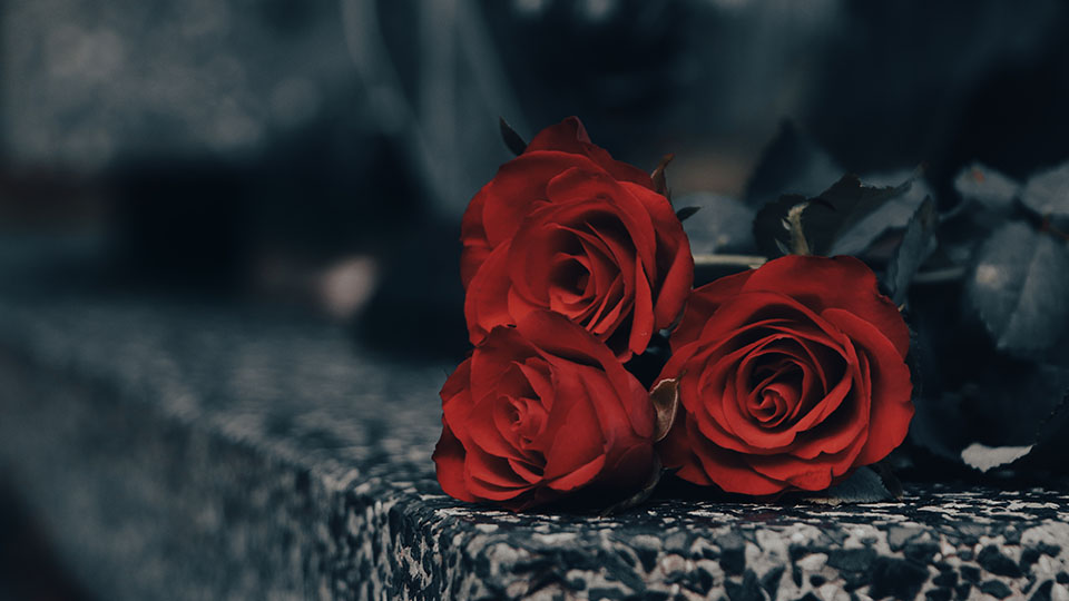 Tötlicher Verkehrsunfall Cham: Drei rote Rosen liegen auf dunklen Granit-Stufen.