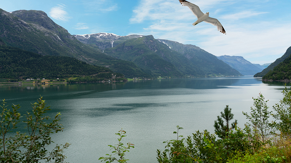 Fjord ein Norwegen: Eine Berglandschaft hinter einem großen See.