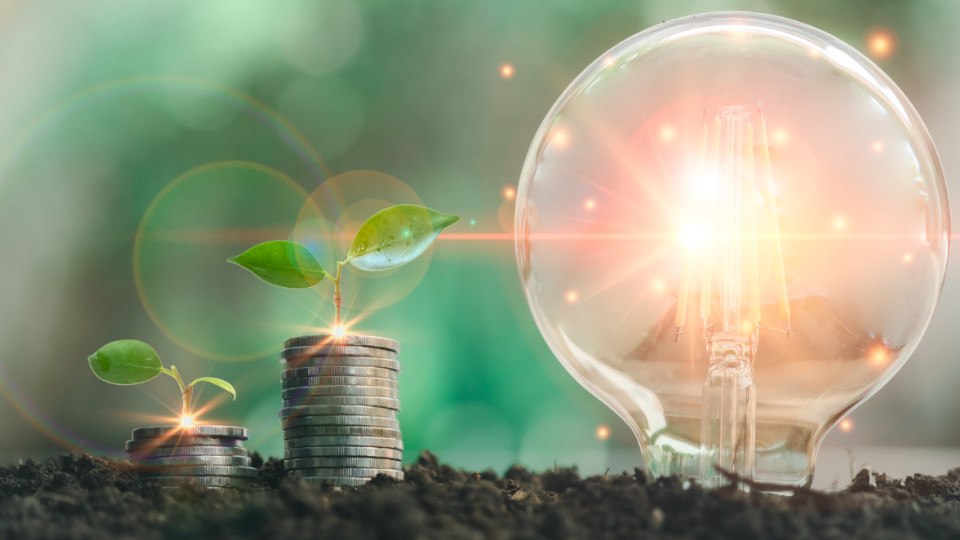 Ein junger Baum, der auf einem Stapel aus Geldmünzen wächst, daneben eine LED-Glühbirne, die in der Erde steck und leuchtet.