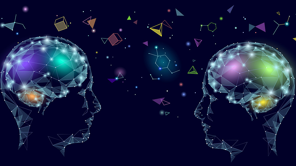 Kognitive Neurowissenschaften: Zwei menschliche Gehirne grafisch dargestellt