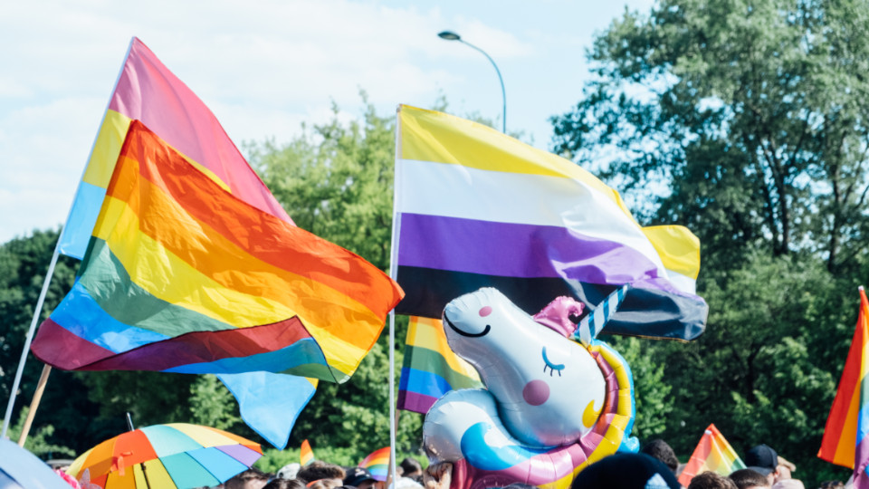 LGBT+ Bewegung: Menschen mit Regenbogenfarben-Flaggen und Einhörner auf der Straße