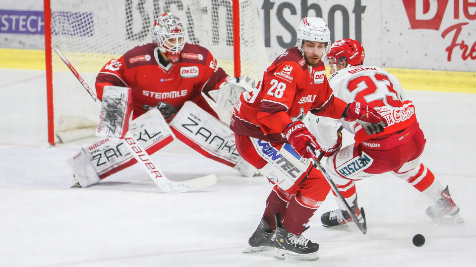 DEL 2 - Eisbären Regensburg gegen Selber Wölfe