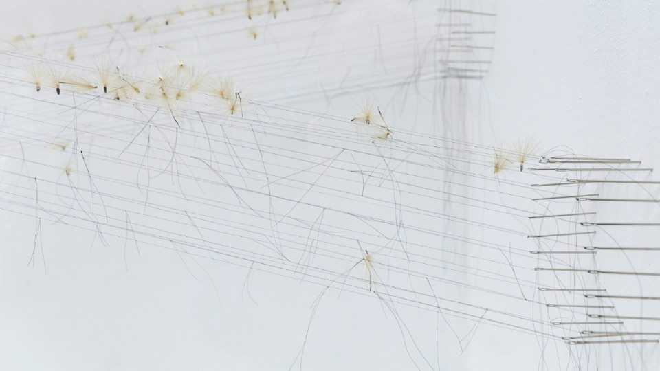 Neue Ausstellung im "neunkubikmeter" Regensburg