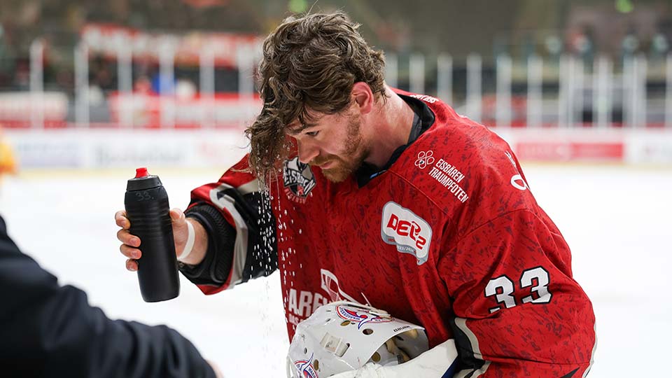 Eisbären Regensburg