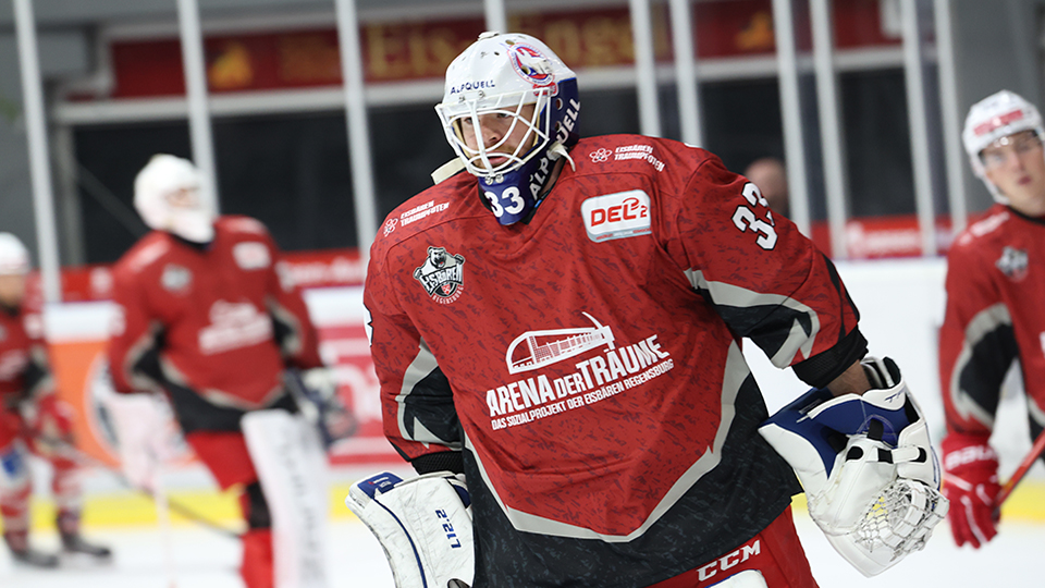 Eisbären Regensburg