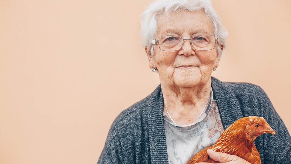 Seniorin mit Huhn