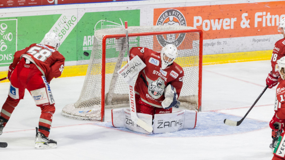 Die Eisbären Regensburg im Spiel