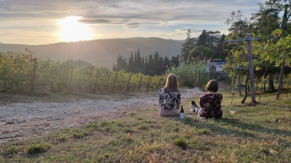 Das Weingut Massimago 