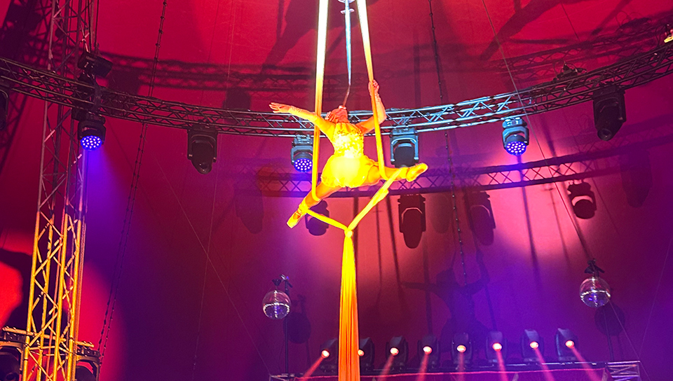 2023 12 19 premiere von alles im wunderland war ein volle erfolg 960x540 03