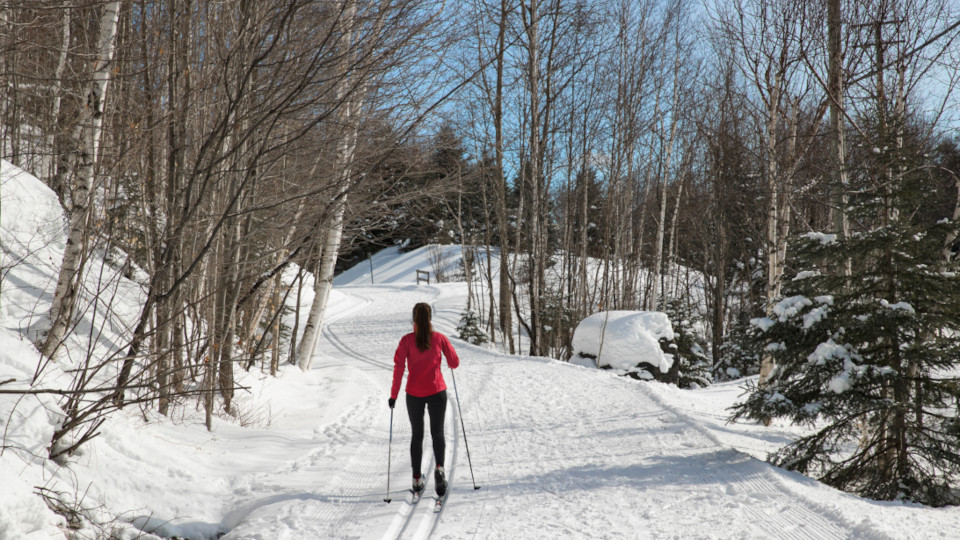 Eine Langläuferin in einer verschneiten Landschaft
