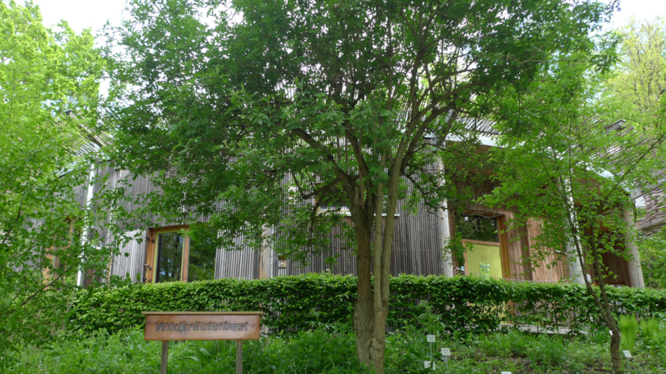 Das Walderlebniszentrum in Sinzing