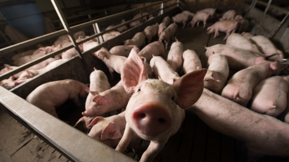 der blick auf 2024 das erwartet uns im diesem jahr1 960x540