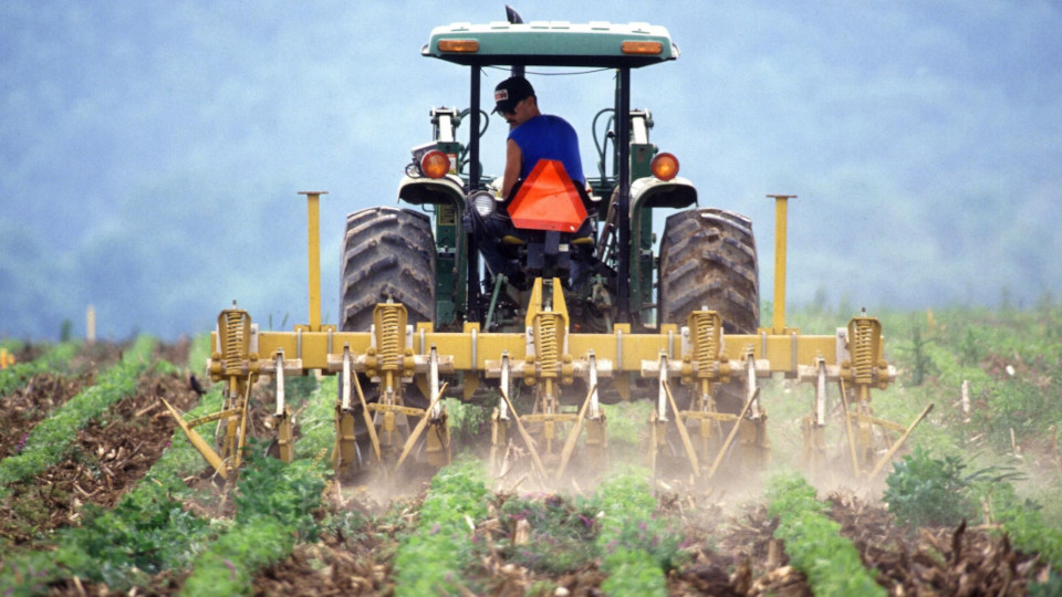 Ein Bauer bearbeitet sein Feld