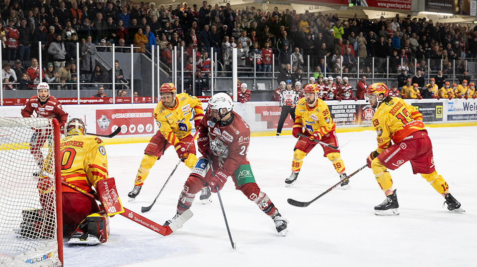 Eisbären Regensburg