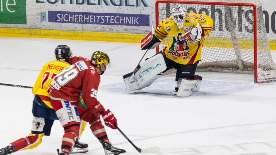 Die Eisbären im Spiel